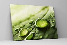 Obraz Kvapka rosy 1458